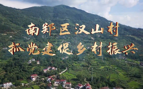 抓党建促乡村振兴