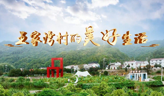 王家湾村的美好生活