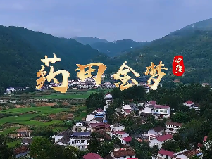 药田金梦