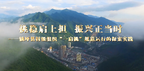 挑稳肩上担  振兴正当时