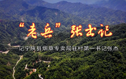 “老兵”张书记