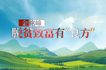 金铭峰脱贫致富有良方