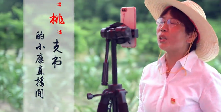 桃支书的直播间