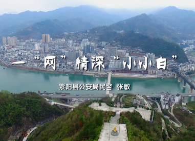 一网情深小小白