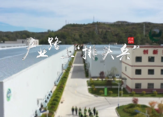 产业路上排头兵