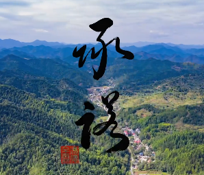 承诺