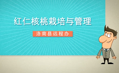 红仁核桃栽培与管理