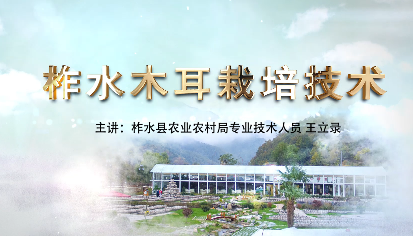 柞水木耳栽培技术