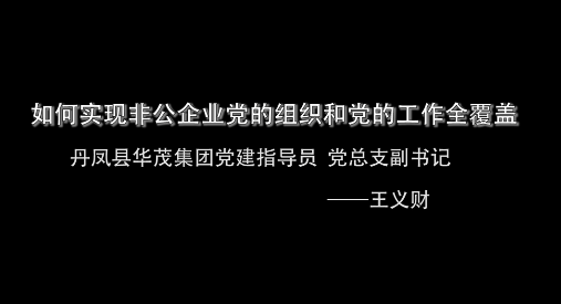 如何实现非公企业党的组...