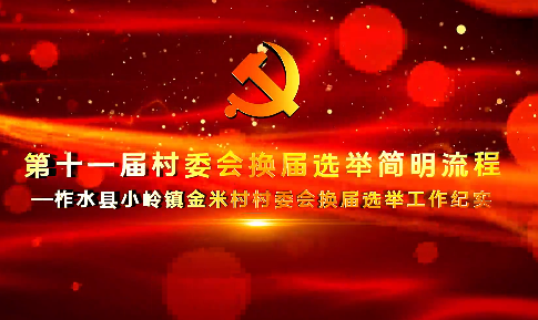 第十一届村委会换届选举...