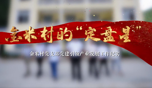 金米村的“定盘星”