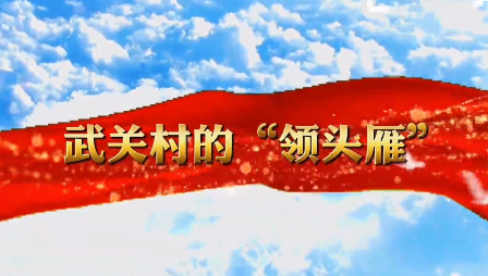 武关村领头雁