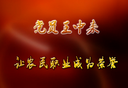 党员王中来——让职业农...
