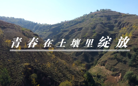 青春在土壤里绽放