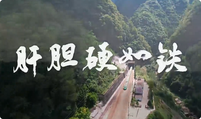 肝胆硬如铁