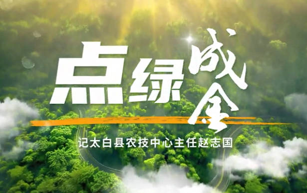 点绿成金4