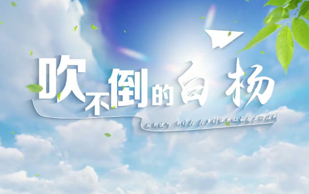 吹不倒的白杨6