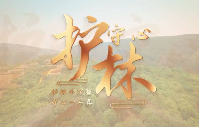 护林守心4