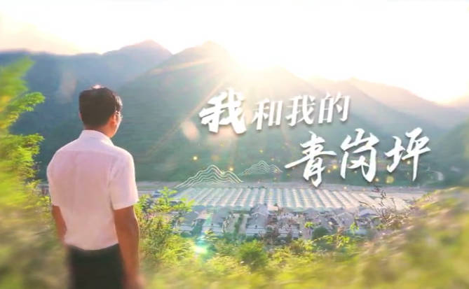 我和我的青岗坪7