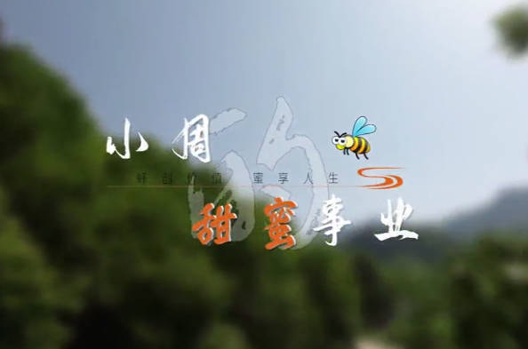 小周的甜蜜事业7