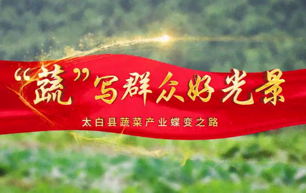“蔬”写群众好光景9