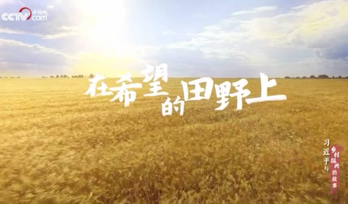 习近平与乡村振兴的故事...24
