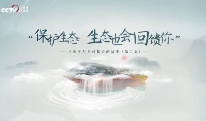 习近平与乡村振兴的故事...31
