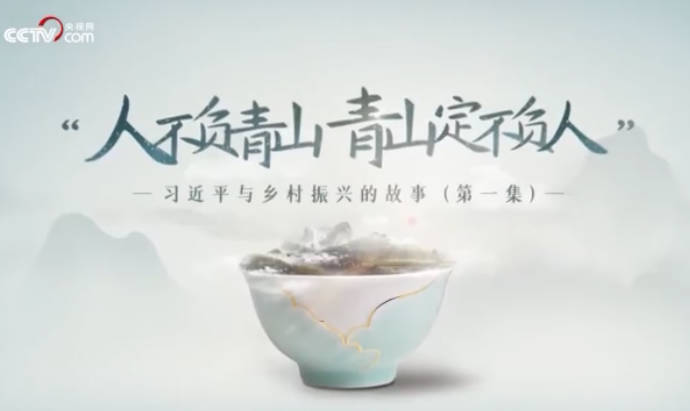 习近平与乡村振兴的故事...31