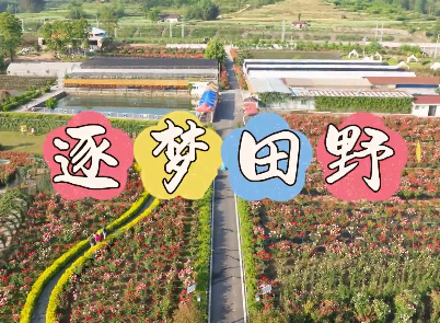 【8090新农人】安康市汉...20