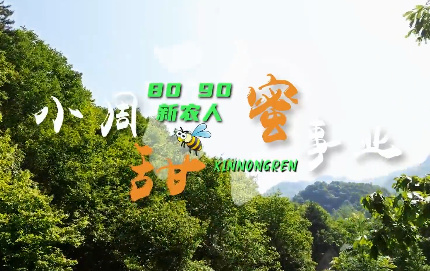 【8090新农人】安康市宁...23