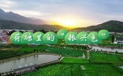 我的村“我”代言——荷...21