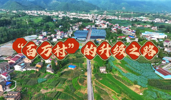 我的村“我”代言——百...18