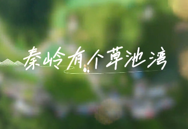 秦岭有个草池湾7