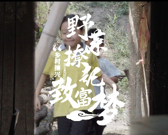 野菜撩起致富梦7