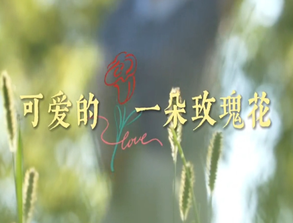 可爱的一朵玫瑰花8