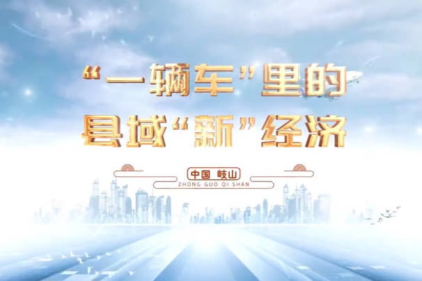 “一辆车”里的县域“新...14